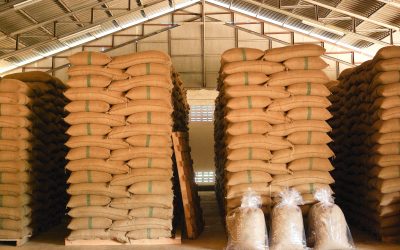 Why Your Sydney Business Needs 3PL Warehousing for Streamlined Logistics Solutions