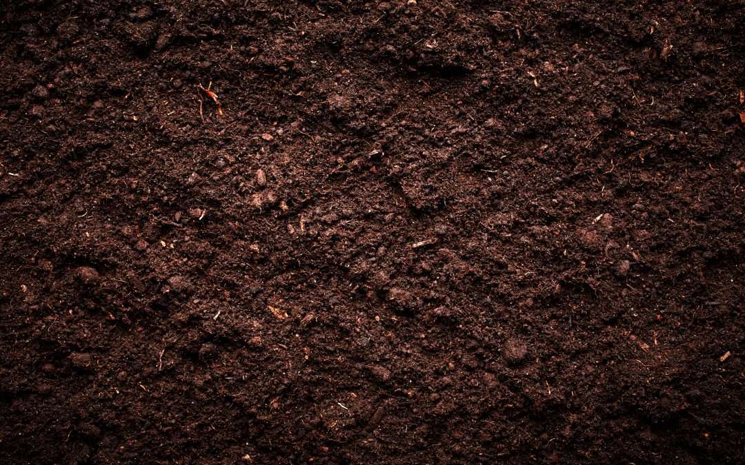 Maximizing Aussie Gardens With Garden Soil And Compost in Taylors Lakes, VIC Choices