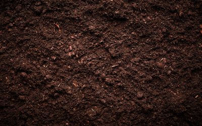 Maximizing Aussie Gardens With Garden Soil And Compost in Taylors Lakes, VIC Choices